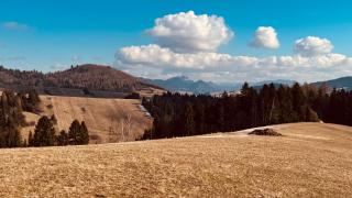 Apartament Pieniny - 1