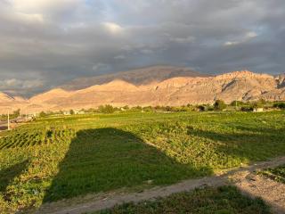 Guest house in Ghawr alsafi - Aş Şāfī - 7