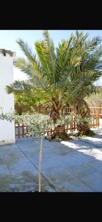 Rancho Carita - Bornos - 4