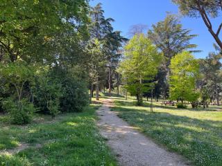 Al parco1 - Termoli - 8
