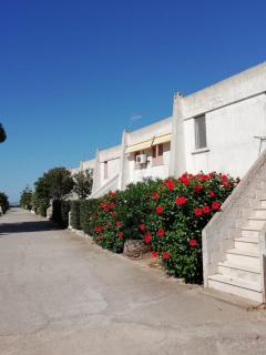 Vista mare - Calasetta - 7