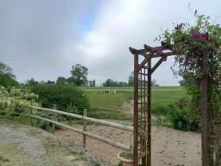 Studio dans une longère en pierre à la campagne - 1