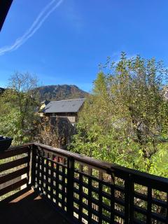 Apartma Snežinka - 1