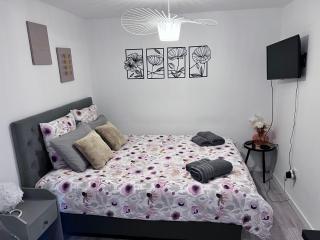 Le Patcho Charmant studio Confortable & Chaleureux , idéalement situé proche centre ville Quartier Neustadt Tribunal, Contades - Estrasburgo - 4