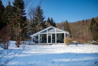 4 Personen mit Sauna F3H6 - Ruhla - 1