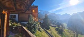 Chalet am Bluemewäg 7 - Wengen - 0