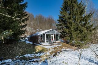 4 Personen mit Sauna F2H8 - Ruhla - 4
