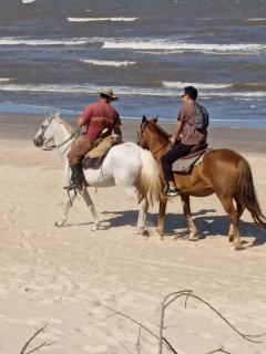 Para un poquito oasis - 8