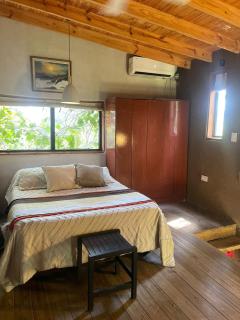 Coruya Wild - 6