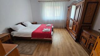 Casa Dacian 1 - Oradea - 9