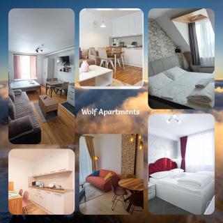 Wolf Apartments SPA Kopaonik - 0