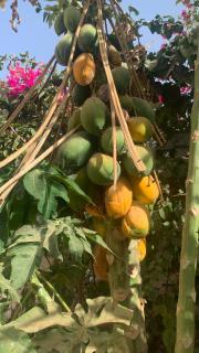 Villa Malya-Rez de chaussée Privé et indépendant avec deux chambres et jacuzzi dans une maison- - 2