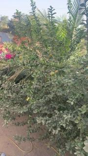 Villa Malya-Rez de chaussée Privé et indépendant avec deux chambres et jacuzzi dans une maison- - 1