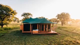Serengeti Misako Luxury Camp - 2