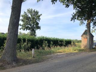 B&B de Lytse Geast - 3