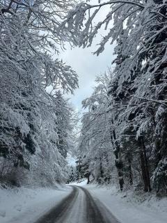 Kuća za odmor Petra - Jasenak - 8