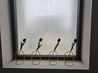 Hotel Aloha - Niš - 9