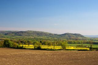 Mulberry Cottage - Beckford - 4