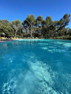 Gîte Le Provence Spacieux 100m2 - Piscine Jacuzzi Privé Parking Jardin 33 hectares - Saumane-de-Vaucluse - 9