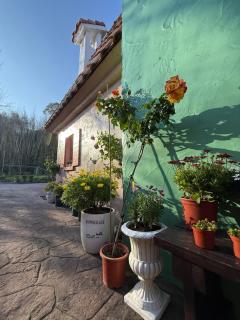 Alishan Tea Garden B&B - Fenchihu - 2