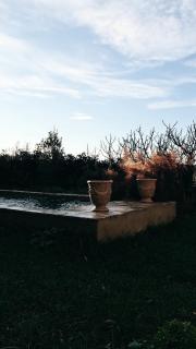 La Potentille - - 2