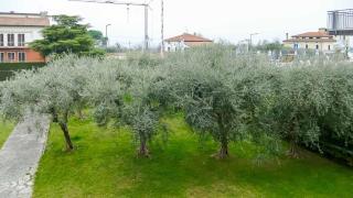 Apartment Praleor - Lazise - 1