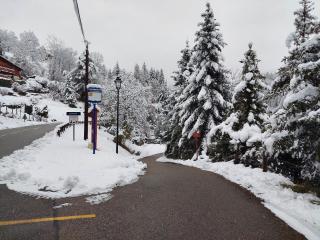 Gîte du ruisseau - Les Adrets - 9