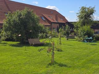 Seminar und Landhaus Schönbeck - Schönbeck - 9