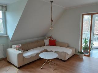 Kastanie - 4