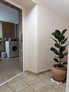 Rustic central - Belgrado - 7
