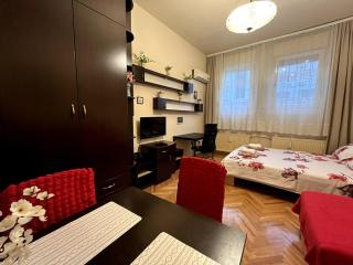 Arena view - Belgrado - 7