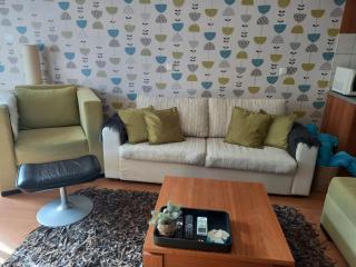 Close to Gondola-Colorful One Bedroom Terrace&Fire - Bansko - 5