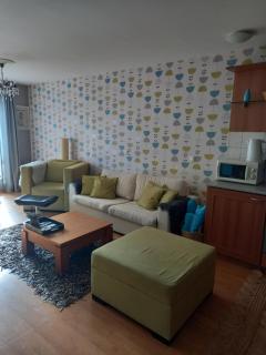 Close to Gondola-Colorful One Bedroom Terrace&Fire - Bansko - 6
