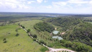 Fazenda Santo Antônio - Antônio Cipriano - 3