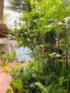 House Deli Tree hostel & homestay - Weligama - 6