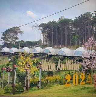 Vườn An Nhiên Camping - Bảo Lâm - 2