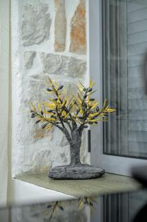 George luxury stone apartment - Vonitsa - 3