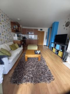 Close to Gondola-Colorful One Bedroom Terrace&Fire - Bansko - 7