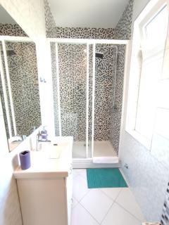 12 Beds 4 Baths 2 Renovated Apts 2nd & 3rd Flr - Belgrade - 7