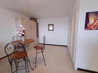 Studio à Balaruc-les-Bains avec climatisation et animaux acceptés - FR-1-571-53 - Balaruc-les-Bains - 3