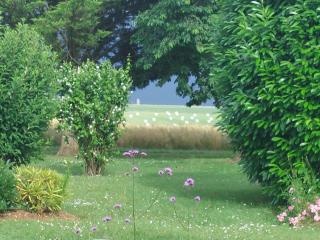 La Galerne - Neuville-de-Poitou - 1