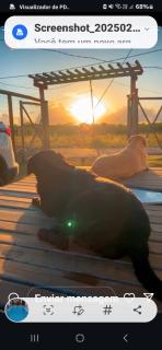 Alugo otima casa de praia em Barra Grande-Maraú-Ba - 9