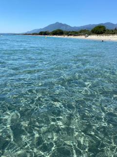 Maison au calme piscine mer au coeur de la nature U Nuciolu - Talasani - 3