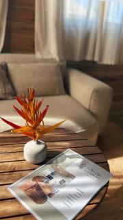 Ti Coin Sauvage - Location Touristique - Saint-Philippe - 9