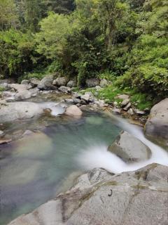 Wild Nest Chirripo - Rivas - 8
