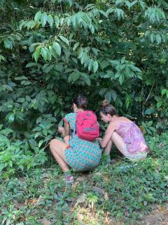 Wild Nest Chirripo - Rivas - 2