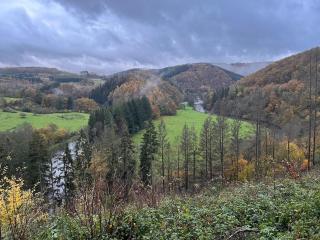 Charmant vakantiehuis aan de Ourthe in Maboge La Roche en Ardenne - 3