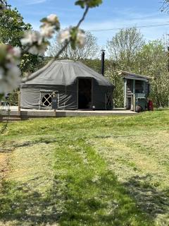 Dragon Orchard Retreat - 3