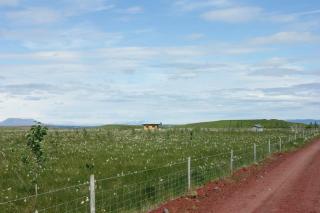 Asparkot - Grímsnes og Grafningshreppur - 2