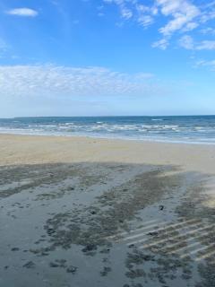 Peaceful Beachfront Hideaway - 7